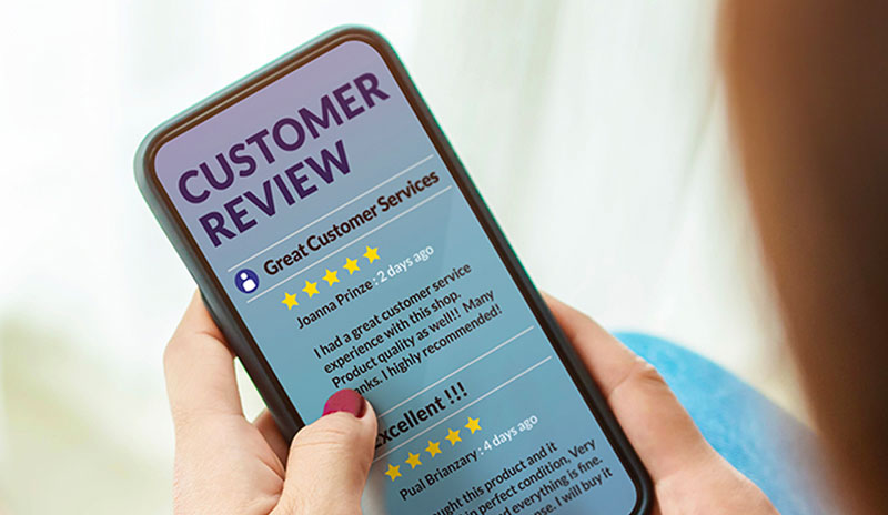 Reviewing vs Trolling